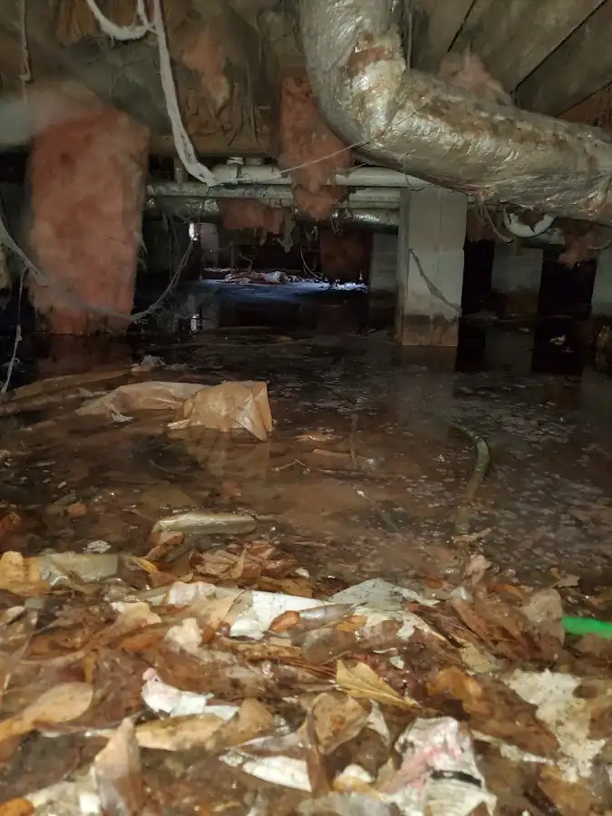 Crawl space flood assessment for Commercial Water Damage Restoration in Wailua Homesteads