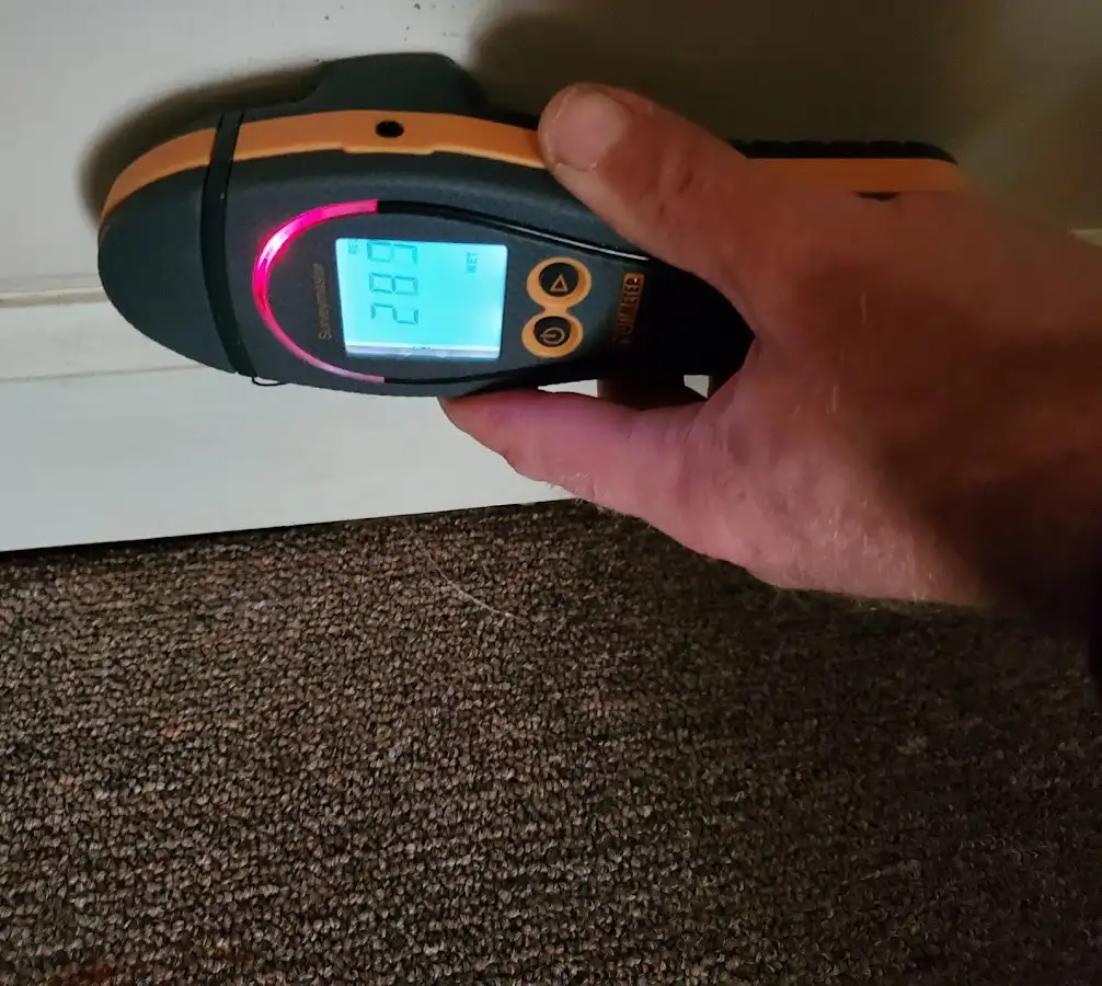 Moisture detection at baseboard during Burst Pipe Cleanup in Wailua Homesteads